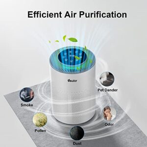 Air Purifiers, Home Air purifier for Large Room Bedroom Up to 1560ft², VEWIOR H13 True HEPA Air Filter for Wildfire Smoke Pets Pollen Odor, with Air Quality Monitoring Light, Auto/Sleep Mode, 6 Timer