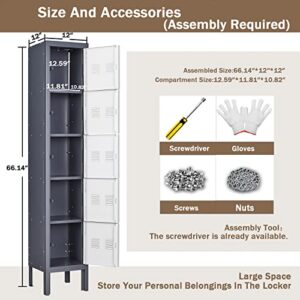 Karini Lockers for Employees,5 Door Metal Locker,66.14''Storage Lockers for Home,Garage,Gym,Office with Mirror,Screwdriver,Gloves,Unassembled (Grey, 5 Door)