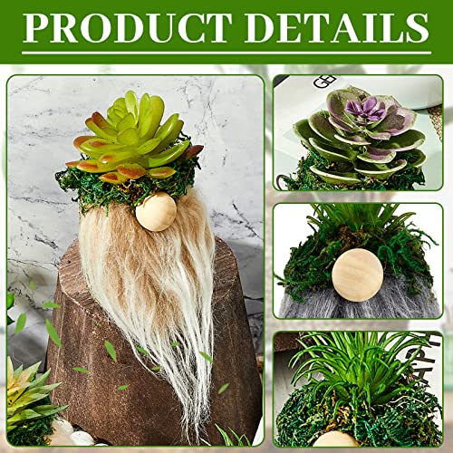 4 Pcs Gnomes Succulent Planter Swedish Gnome Plush Tiered Tray Decoration Summer Cute Gnome Gift for Women Farmhouse Cactus Desk Home Decor Green Garden Family Cacti Dwarf Shelf