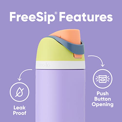 Owala FreeSip Insulated Stainless Steel Water Bottle with Straw for Sports and Travel, BPA-Free, 40-oz, Retro Boardwalk