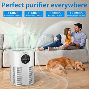 Air Purifiers for Pet,Tailulu Home Air Cleaner For Bedroom up to 600 sq.ft 22db with Fragrance Sponge for Dust Smoke Pollen Dander Hair Smell and Pet Odor, Small Air Cleaner for Office Living Room