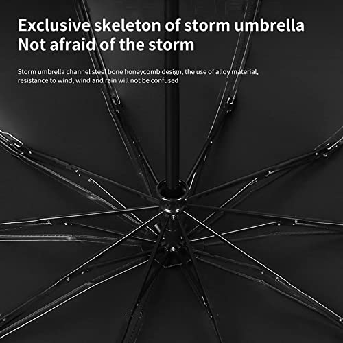 Cloudia Windproof Umbrella Travel Umbrella Easy Compact Folding Reverse Umbrella (Black)