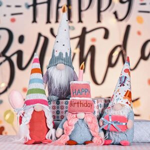 unanscre Birthday Gnomes Plush Elf Decoration - 4PCS Happy Birthday Handmade Swedish Tomte Dolls, Cute Scandinavian Gnomes for Home Farmhouse Table Ornament, Party Favor Gifts, Tiered Tray Decor