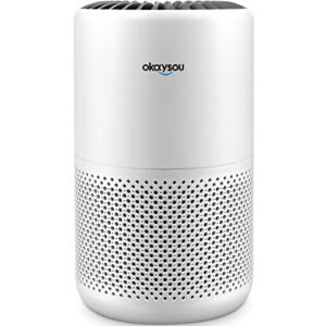 okaysou high cadr air purifiers for home large rooms up to 1320 sq.ft - 22db quiet bedroom cleaner with 4 optional filters - 25w japanese dc filtration system, 3-stage h13 true hepa & activated carbon filter - remove 99.97% smoke dust pollen dander hair (