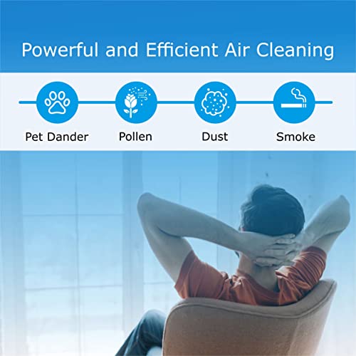 Sirena Air Ionizers for Home Negative Ion Filtration System, Quiet Air Freshener for Bedroom, Kitchen, Removes Odors, Smoke, Dust, Pets, Mini Ionic Air Purifier w/ built in Clock and Night Light (1)