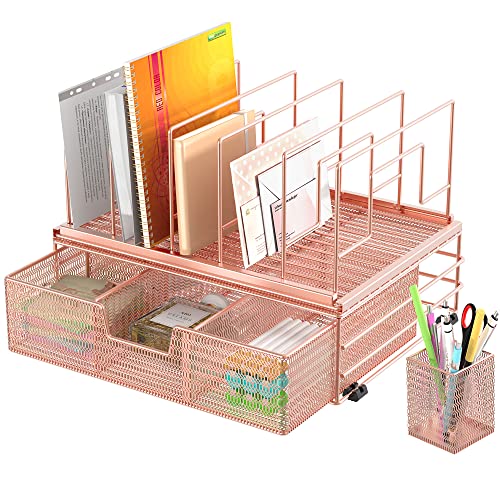 Cisily Desk Organizers and Accessories, 5 Vertical File Holders Home Office Supplies, Desktop Organization with Drawer and Pen Holders, Rose Gold