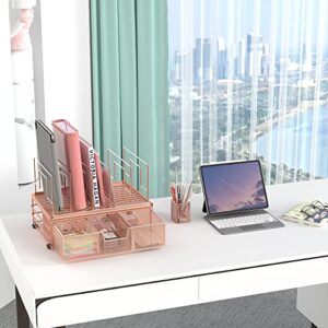 Cisily Desk Organizers and Accessories, 5 Vertical File Holders Home Office Supplies, Desktop Organization with Drawer and Pen Holders, Rose Gold