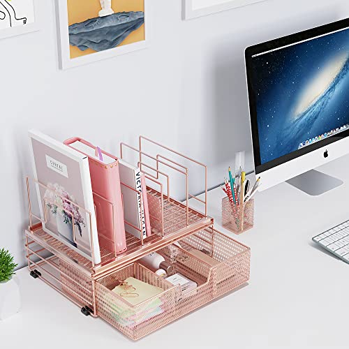 Cisily Desk Organizers and Accessories, 5 Vertical File Holders Home Office Supplies, Desktop Organization with Drawer and Pen Holders, Rose Gold