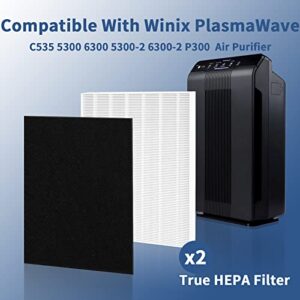 115115 HEPA Replacement Filter A for Winix PlasmaWave Air Purifier C535, 5300, 6300, 5300-2, 6300-2, P300, 2 Pack True HEPA Size 21 Filter