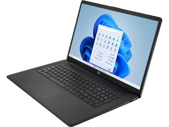 2022 HP High Performance Laptop 17.3''FHD IPS 11th Intel i7-1165G7 Iris Xe Graphics 16GB DDR4 1TB SSD WiFi 6 Bluetooth HDMI USB-C Fullsize Keyboard w/ Numpad Windows 10 Pro w/ 32GB USB,Starry Black