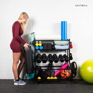 Aestoria Home Gym Storage Rack - Weight Rack for Home Gym with Easily Removable Side Accessories - Versatile Gym Organization for Home Gym with Larges 2.5 Inches Wheels