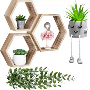 zen home rustic hexagon floating shelves, set of 3, honeycomb shelves, natural wood, kitchen, bathroom, living room home decor, guy potted plant, artificial hanging plants, wall shelves (rustic brown)