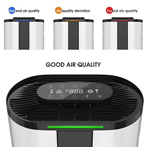 Air Purifier with Smart WiFi, PM2.5 Monitor and H13 True HEPA Filter for Large Room up to 3000 sq.ft, Captures 99.9%
