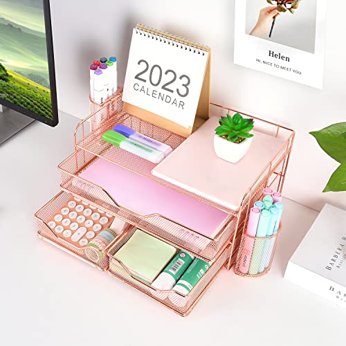 gianotter Office Supplies Desktop workspace Organizer with Drawers and 2 Pen Holder, Desk accessories (Rose Gold)