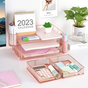 gianotter Office Supplies Desktop workspace Organizer with Drawers and 2 Pen Holder, Desk accessories (Rose Gold)