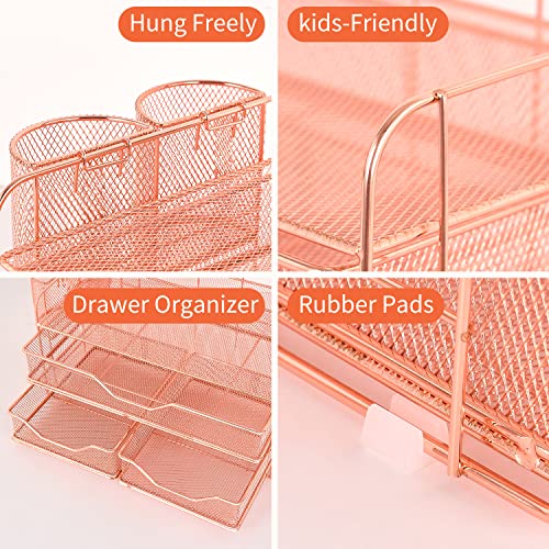 gianotter Office Supplies Desktop workspace Organizer with Drawers and 2 Pen Holder, Desk accessories (Rose Gold)