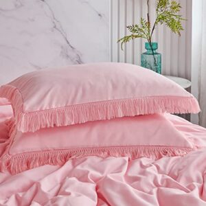 ZRNBAST 5 Pcs Blush Bed in a Bag Comforter Set with Tassel Bohemian Style Full Size Reversible Design Bedding with 2 Pillowcases Ultra Cozy Lightweight Quilt Set for Adults Kids (Blush, Full)