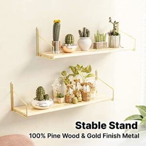 BENOLDY, Gold Metal Frame Wall Mounted Floating Shelf with Pine Wood Rack - Decorative Storage Wall Shelves for Bathroom, Kitchen, Living Room, and Bedroom Organization - 24 Inch