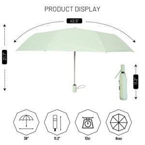 SY COMPACT Travel Umbrella Windproof Automatic Lightweight Compact Umbrellas for Women and Men Easy Carry (Mint Green)