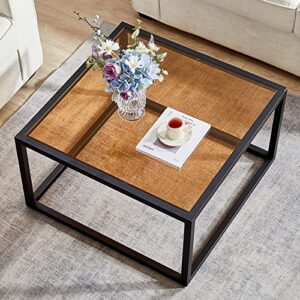 SAYGOER Glass Coffee Table Modern Coffee Tables Simple Square Center Table for Living Room Home Office Tempered Glass-top with Sturdy Metal Frame 26.7 x 26.7 x 15.7 Inches Easy Assembly, Brown Glass