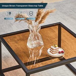 SAYGOER Glass Coffee Table Modern Coffee Tables Simple Square Center Table for Living Room Home Office Tempered Glass-top with Sturdy Metal Frame 26.7 x 26.7 x 15.7 Inches Easy Assembly, Brown Glass