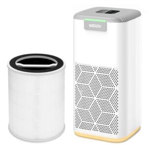 welov p200s air purifiers for home large room with an extra h13 true hepa filter bundle