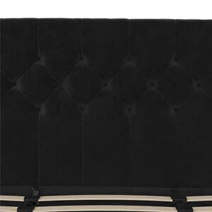 Novogratz The Her Majesty Upholstered Bed, King, Black Velvet