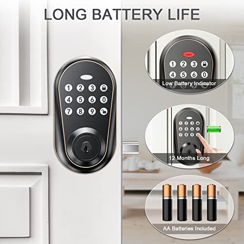 IRONZON Door Locks with Keypads Front Door Lock Deadbolt Lock Keyless Entry Door Lock with 3 Keys Auto Lock F150