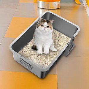 Gralara Kitten Cat Litter Box Stainless Steel Rust Free with Scoop Semi Enclosed with Side Carrying Handle Rounded Edges Accessories Durable Sturdy, 50x35x10cm