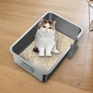 Gralara Kitten Cat Litter Box Stainless Steel Rust Free with Scoop Semi Enclosed with Side Carrying Handle Rounded Edges Accessories Durable Sturdy, 50x35x10cm