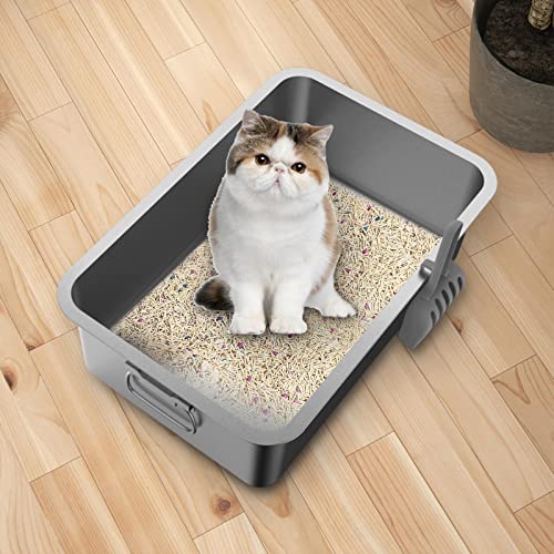 Gralara Kitten Cat Litter Box Stainless Steel Rust Free with Scoop Semi Enclosed with Side Carrying Handle Rounded Edges Accessories Durable Sturdy, 50x35x10cm