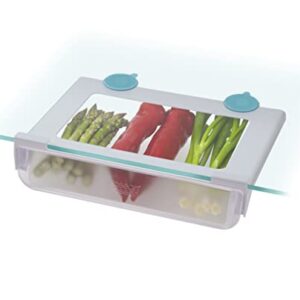 Joseph Joseph FridgeStore Under-Shelf Storage Drawer, One Size, Clear/Blue