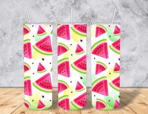 watermelon 20 oz stainless steel insulated tumbler with straw and grip pad on bottom - comes in a gift box