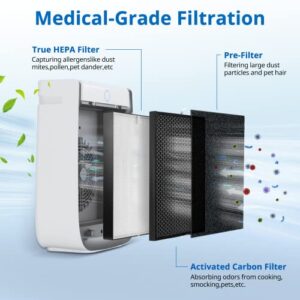 AD3000 Replacement Filters For AIR DOCTOR Compatible with AIRDOCTOR 4-in-1 Home Air Purifier AIR DR. AD3000 AD3000M AD3000pro, 2 H13 True HEPA, 4 Activated Carbn and 8 Extra Carbn Pre-filters（2+4+8）