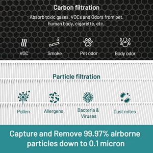 Jafända JF888 Replacement Filter, 2 Pack Original Filters, H13 True HEPA Filter(MERV 17), with 2.12 lb Activated Carbon, Remove Pollen Dust Pet Odor VOCs Allergies Smoke, ideal for households with pets, cooking and smokers.