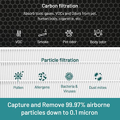 Jafända JF888 Replacement Filter, 2 Pack Original Filters, H13 True HEPA Filter(MERV 17), with 2.12 lb Activated Carbon, Remove Pollen Dust Pet Odor VOCs Allergies Smoke, ideal for households with pets, cooking and smokers.