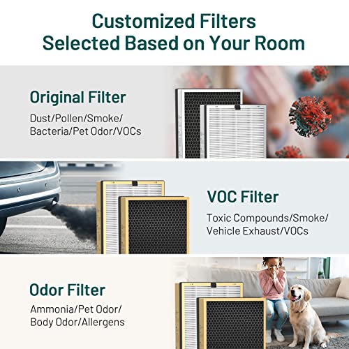 Jafända JF888 Replacement Filter, 2 Pack Original Filters, H13 True HEPA Filter(MERV 17), with 2.12 lb Activated Carbon, Remove Pollen Dust Pet Odor VOCs Allergies Smoke, ideal for households with pets, cooking and smokers.