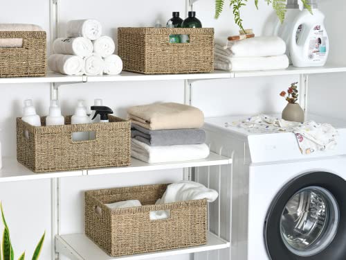 StorageWorks Seagrass Storage Baskets