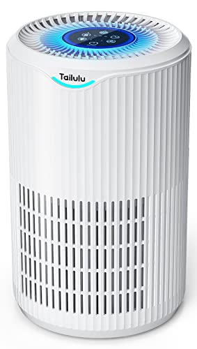 Air Purifiers for Home Large Room Up to 1345 Ft², Tailulu H13 True HEPA Air Cleaner Purify Smoke Dust Pollen Pet Hair Allergies for Bedroom Living Room Kitchen Office, Air Filter with Sleep Mode