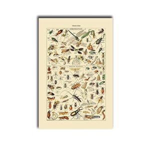 poster canvas artvintage aesthetics insect dragonfly praying mantis cricket art poster newspaper adolphe millot prints room decor bedroom kitchen office home wall decor 16x24inch-without frame