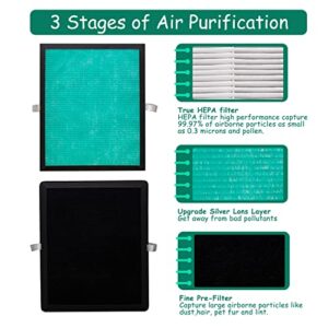 Asheviller MK04 MG04JH True HEPA Replacement Filter, Compatible with AROEVE MG04JH MK04 Air Purifier, Compare to Part# MK04LX, 2Pack (MK04 Green)