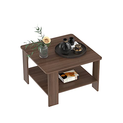 WAHEY Coffee Table, 2-Tier Simple Living Room Table with Storage Shelf, LRCT001