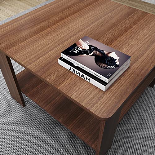 WAHEY Coffee Table, 2-Tier Simple Living Room Table with Storage Shelf, LRCT001