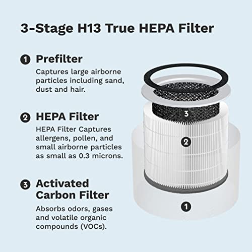 DH Lifelabs Aaira + HEPA and Sciaire + HEPA Replacement 3-1 HEPA Filter