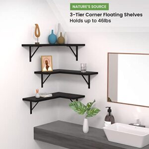 NATURE'S SOURCE Floating Corner Shelves Set of 7 Black