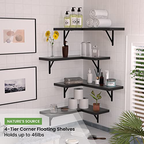 NATURE'S SOURCE Floating Corner Shelves Set of 7 Black