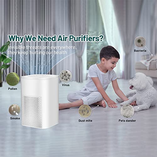 Portable Mini Air Purifier for Desk Home Bedroom Office At Work Low Noise Air Cleaner Better Sleep Night Light True HEPA Filter Desktop Air Purifiers USB Removal Dust Smoke Pollen Odor