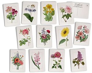 vintage floral postcards - 24 antique flower postcards - 12 assorted botanical retro book illustration cards printed on antique textured style cardstock - great for spring, summer, gardening, & nature