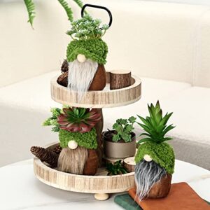 Upltowtme Succulent Gnomes Greenery Plants Swedish Tiered Tray Faux Moss Tomte Cacti Nordic Dwarf Home Stuffed Gnomes Collection Garden Display Friend's Coworker's Summer Gift for Plant Lover Set of 3