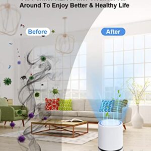 MELEDEN Air Purifier for Home with True HEPA Filters,Low Noise Portable Air Purifiers with Night Light,Desktop USB Air Cleaner,GL2103